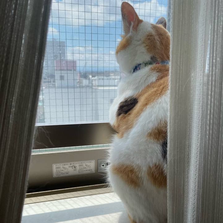 E286e5b5 6f0b 4e8a bdb2 3719c8416295 1719643174663