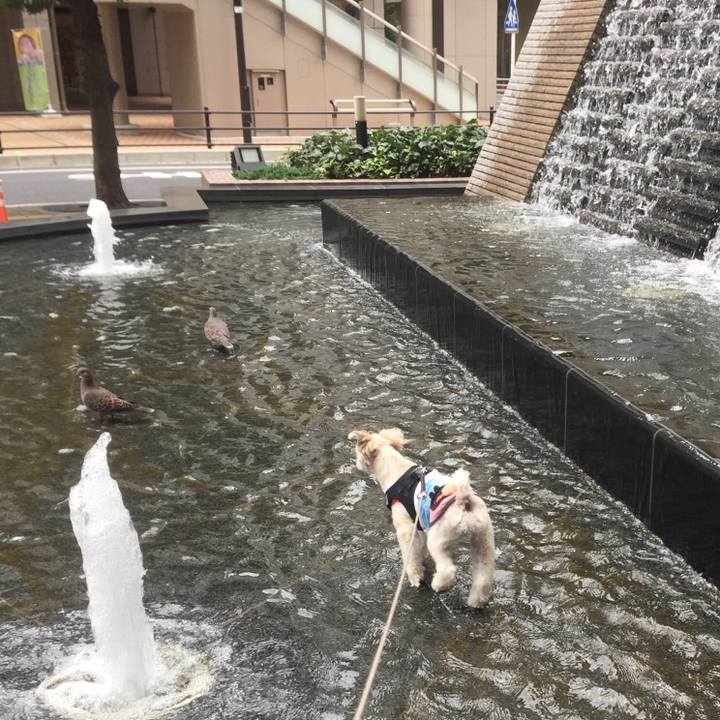 E2871ba3 e889 49a7 882c 511dbf54051f 1537759197188