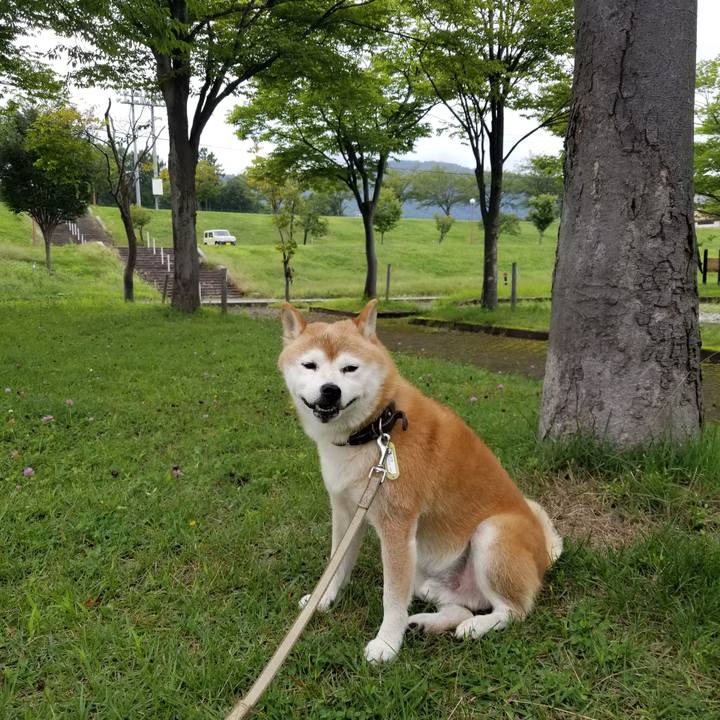 E2872f91 0bb7 489d b729 04370decee13 1661660707928