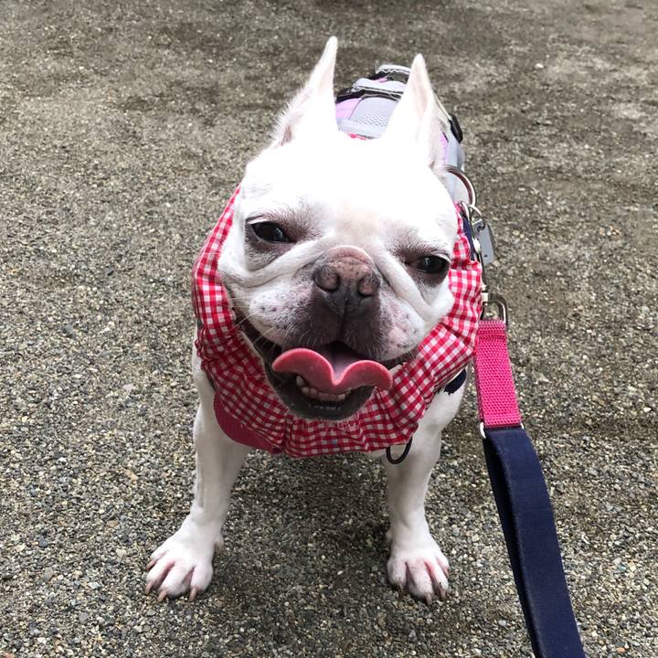 E2875407 8c3c 4585 aea6 f3ed09557f63 1628731168851