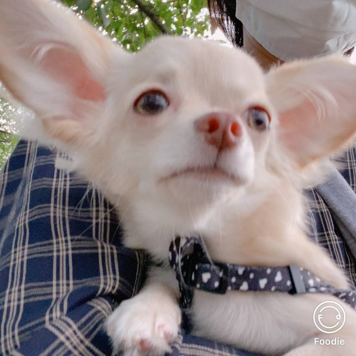 E287657d 5157 4e12 b015 1d44155dede9 1600076922400