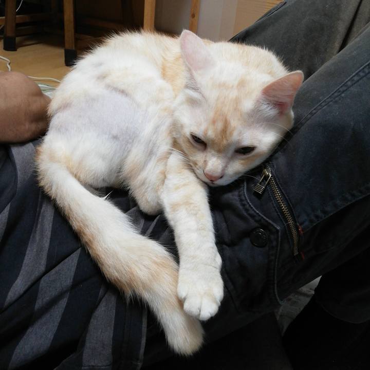 E28781c7 a9b5 4100 8c60 d376c1ab73b1 1634248612622