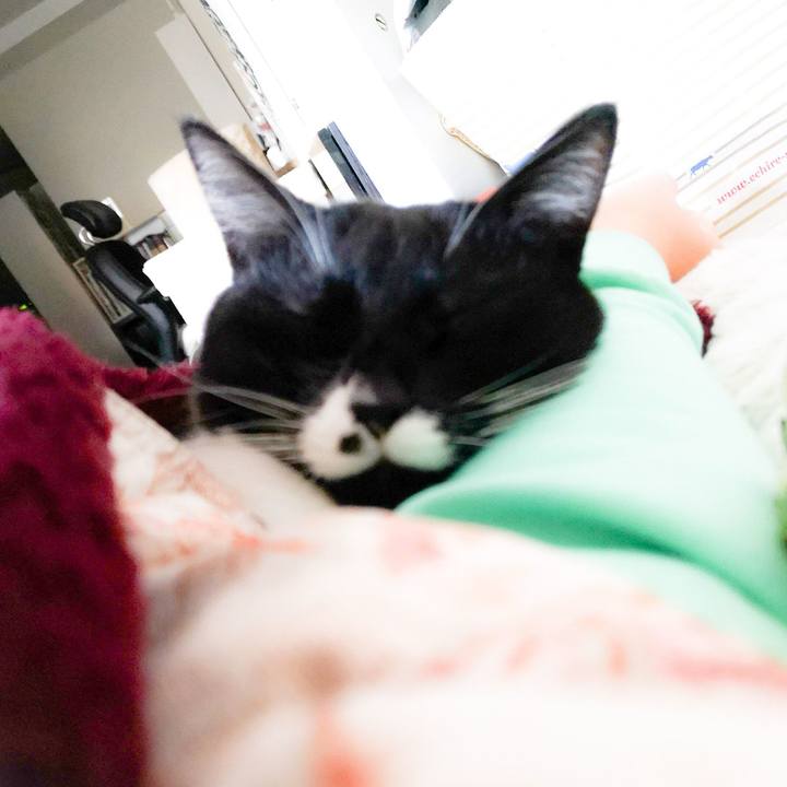 E287a3bc f682 4500 9a00 8c99c361f862 1545353732212