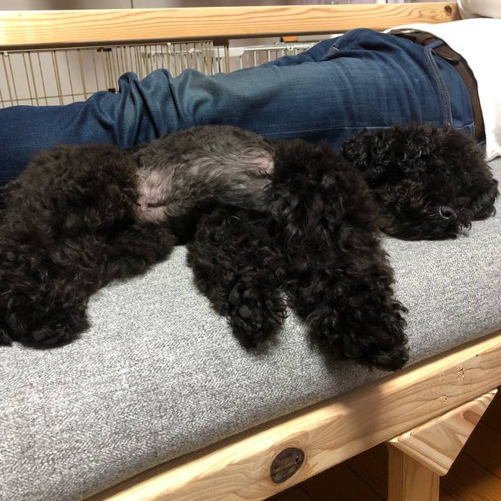 E287f8c2 d874 4613 a5cb 4646541ff383 1571727447443