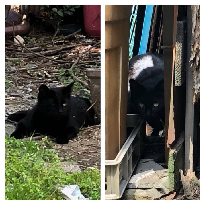 E28827ce 4be9 4992 af1c 6004b72d8a7b 1522319903529