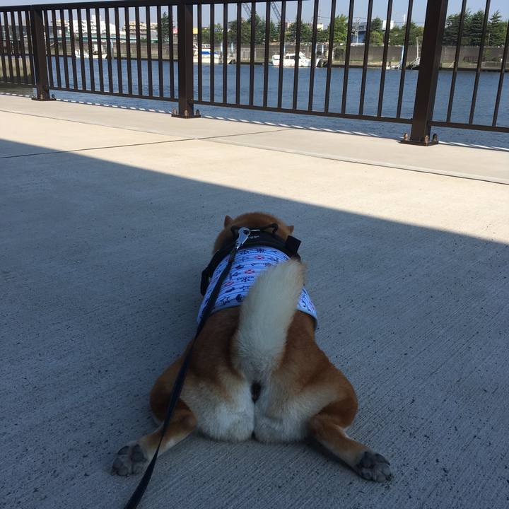 E28845cc 4a6f 4dbc b44d 10fbae9f0300 1613342157023