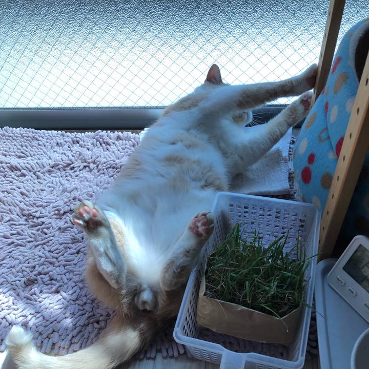 E28853ec 88e1 424e 827d b8ae00c807ed 1566637840132