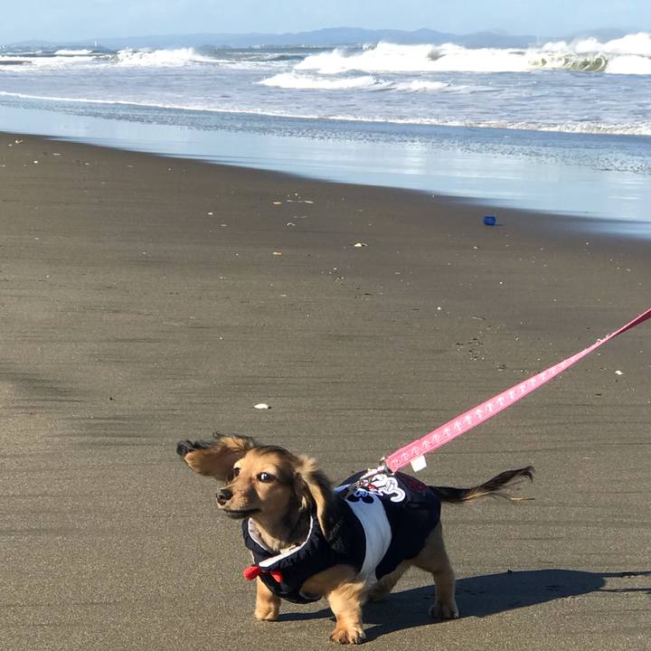 E288636b f668 4349 97a8 cd3ba0d63147 1613456463018