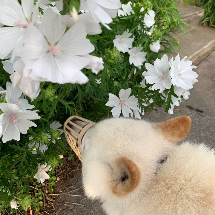 E2887d91 2ff0 44b5 852c 732a960e2feb 1561584506597