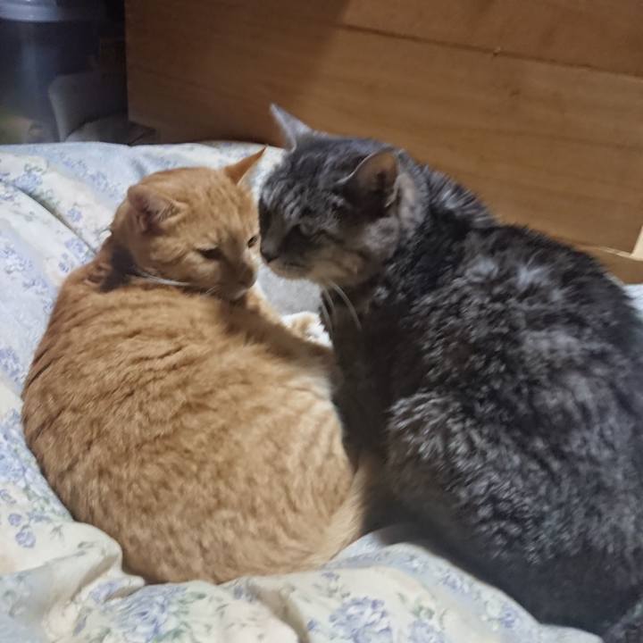 E2888b4c 1522 4709 8f3e 2596da846efa 1575550161443