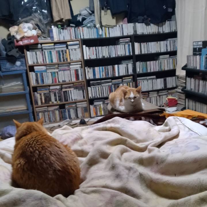 E2889366 adb5 4415 8f50 df8914ad9378 1734128268498