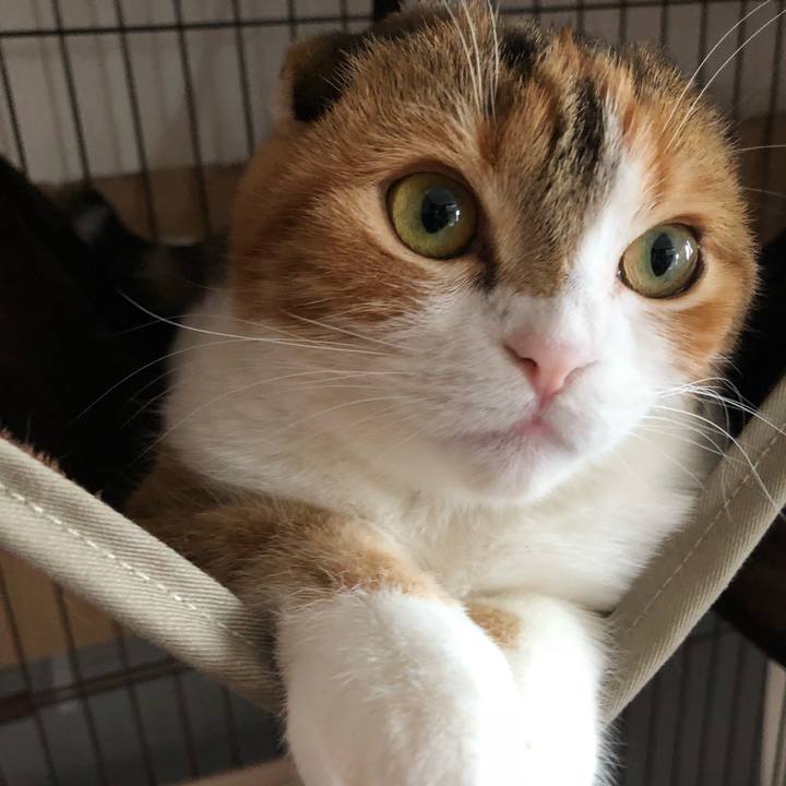 E2891f37 aab6 44fb b68b 3661526e55ab 1522554191577