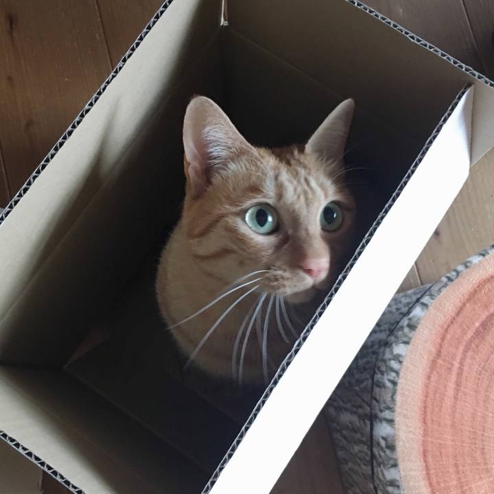 E2893e6b 3b25 4a22 adcc 7900a8f48e4a 1576976951825