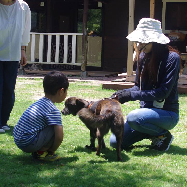 E28963d8 f24c 4efc af7c ca4d1ed6d68f 1530522033291