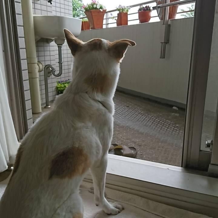 E2896b4b 1d27 497a 9eef b42d669ec602 1528702927452