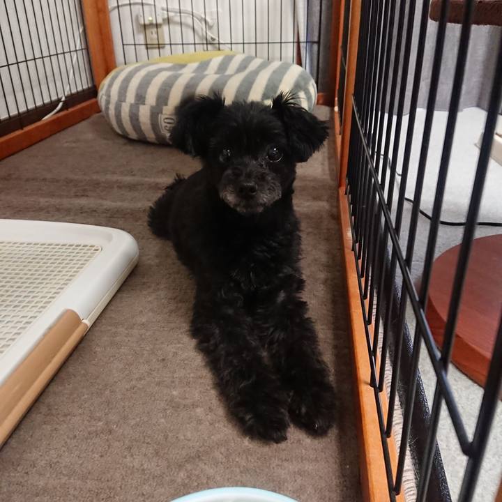 E2898799 aec2 4a14 8ef2 76fc435ba91c 1531307076940