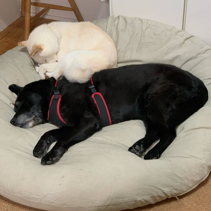 E289f674 0e75 4071 a471 f29adaf7dd5d 1612924315571