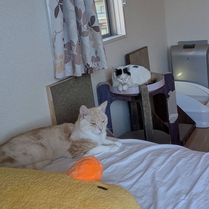 E28a3578 9067 4f5b 9979 9014f096d55b 1753315822234