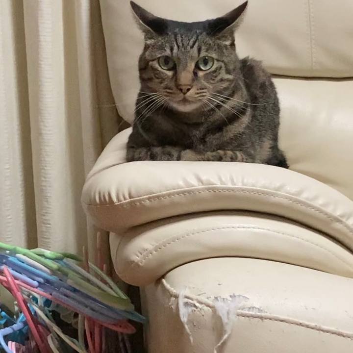 E28a52f4 3a4c 405a 9517 ce0b2595e314 1663159263969