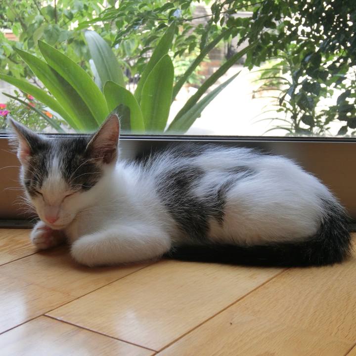 E28a781e b8b9 4970 a2e3 d800817574e7 1562284553273