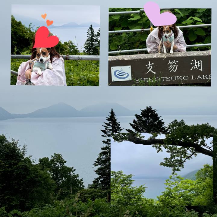 E28a8610 eca3 4f26 bfa0 1b657488d143 1719709559668