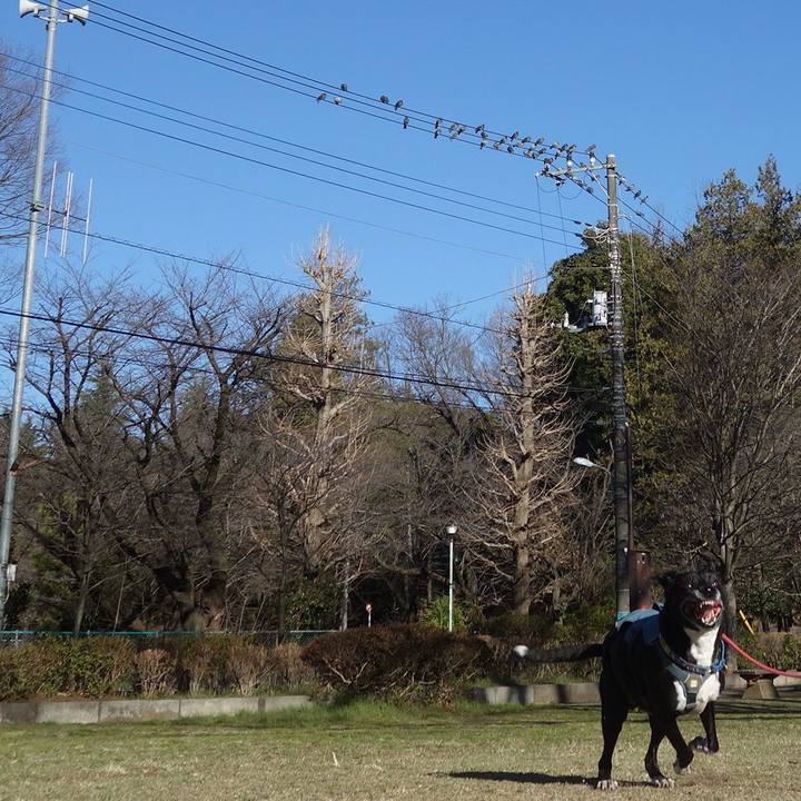 E28a9820 3786 41ab ba00 4a9111b7520b 1711000955508