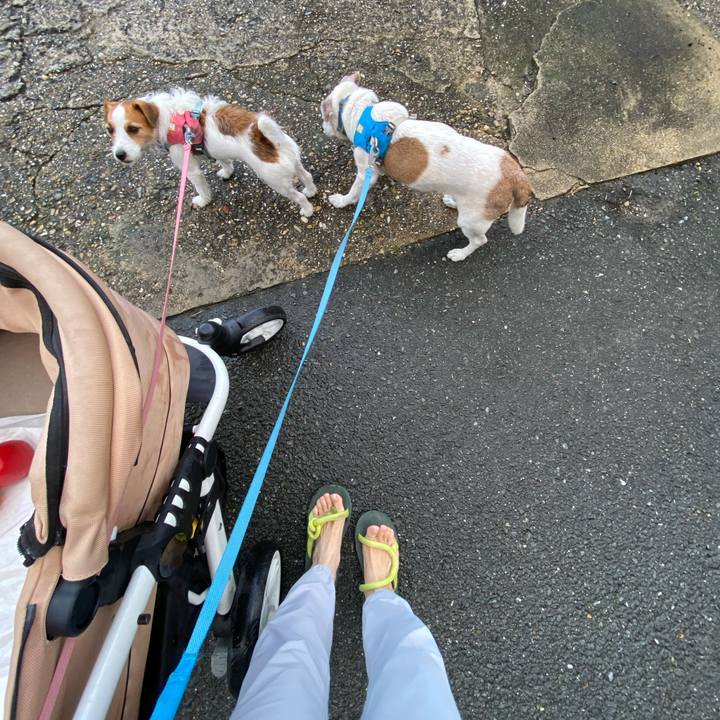 E28a9d9e 0ddc 46f3 b99c 6af06c497600 1728427124566