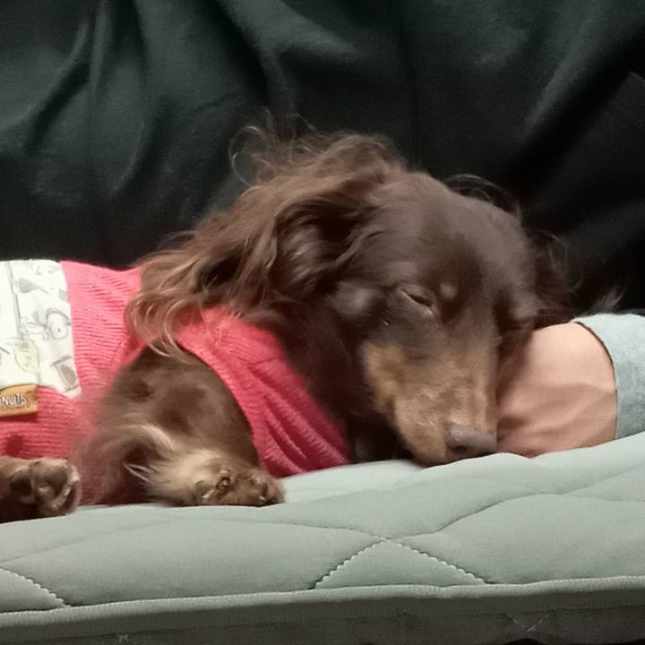 E28aa73e 9dcf 48dd aed3 498cee48ffaf 1766958315134