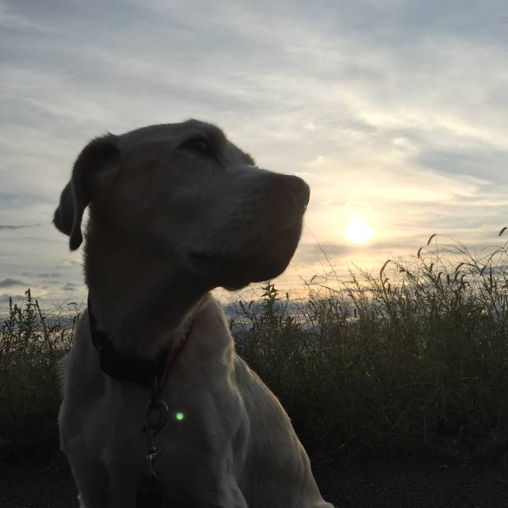 E28b2f72 068c 41c1 b606 5109e053ef4a 1557817261724