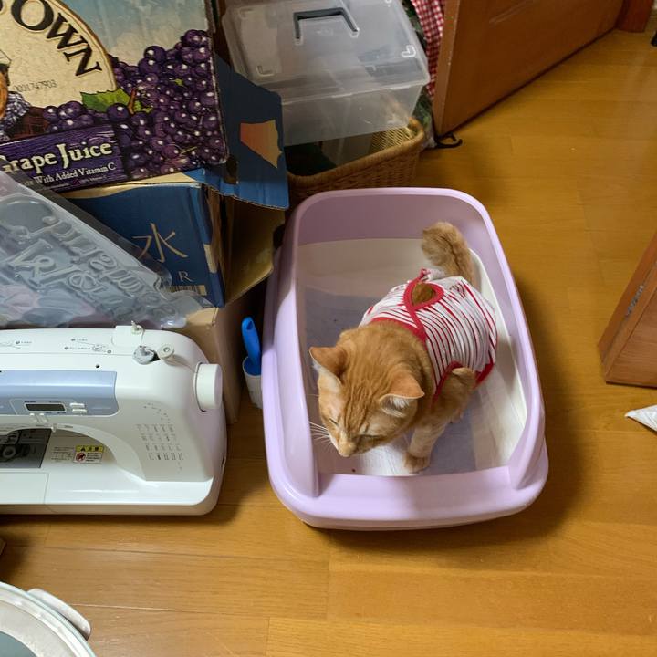 E28b3628 4b73 4ea5 9238 922aa362abf5 1616299089455