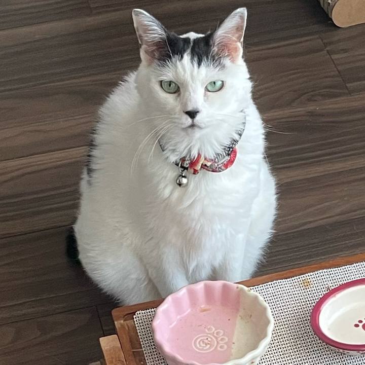 E28b4ea2 6067 471d bc2c 2f7c888585c6 1756251046782