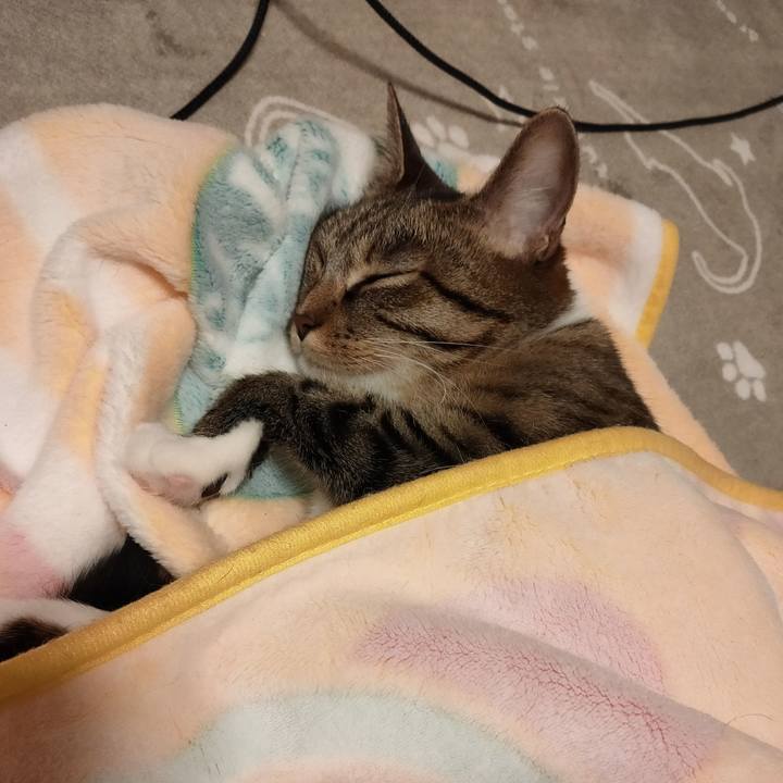 E28b8a93 e1cf 4947 98c4 b34c28c8bcba 1669202211611