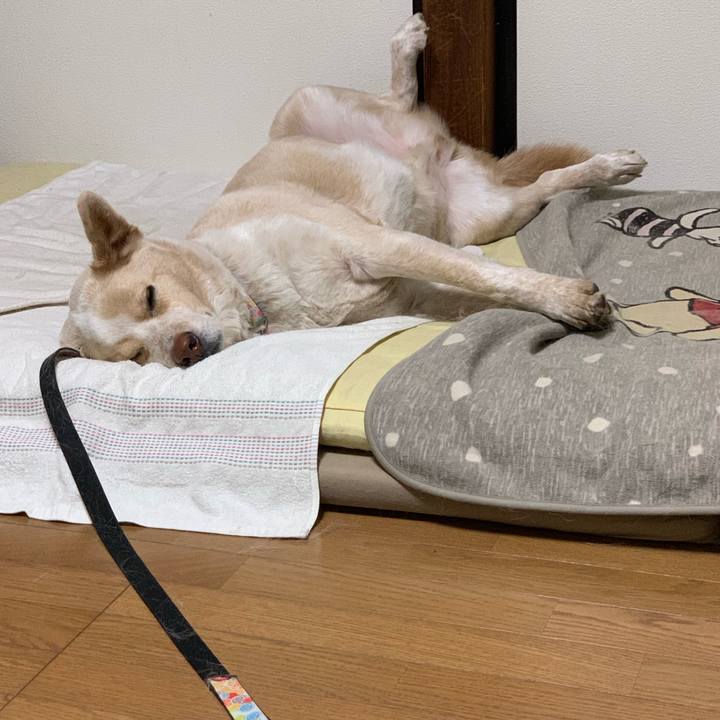 E28ba180 1d1f 4b66 80fa 49a447c57c9e 1550759222245