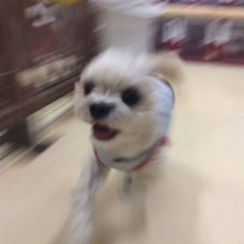 E28c24fa abf2 4bb4 8585 f3322ac7e697 1516015380597