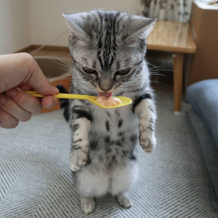 E28c5f43 4c6f 4757 ad65 e76081493f30 1588929702714