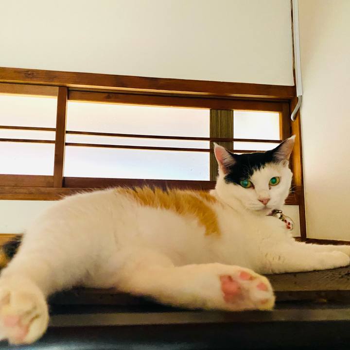 E28c6a25 6180 44d1 8201 a7096971fde5 1724579405941