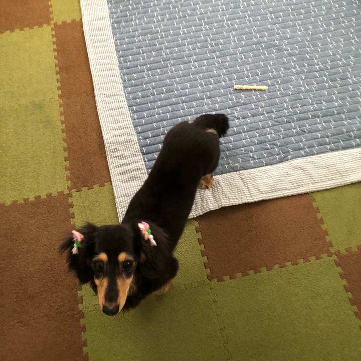 E28c79dc 6604 4939 a2e8 0c2964240774 1561161577907