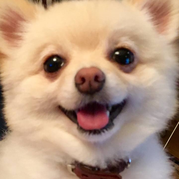 E28cb322 71b8 4e2a a0dc ba096ed66a9e 1536840513876