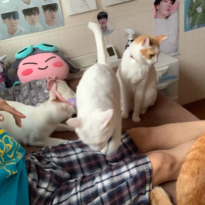 E28ccf6a 3536 41f5 963e 6c2988cff9b9 1556108621423