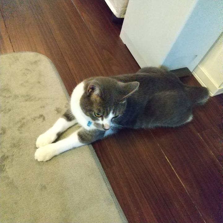 E28cf4a1 3836 415c b4bd 0132382bdf2e 1600214457821