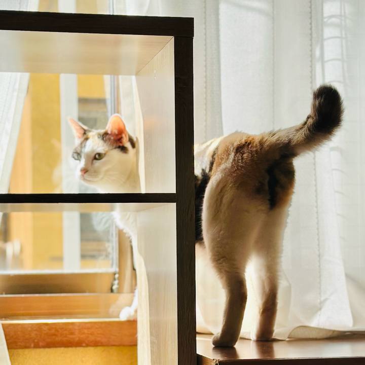 E28cfb06 e089 4d08 8bbe d35d85dcb9b3 1695606881480