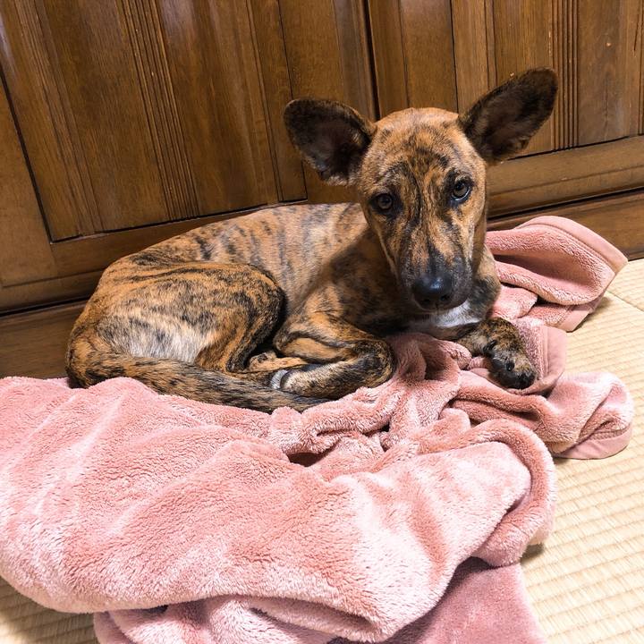 E28d5a50 5077 4c7b 8aea 14ab183fc36b 1577718832987