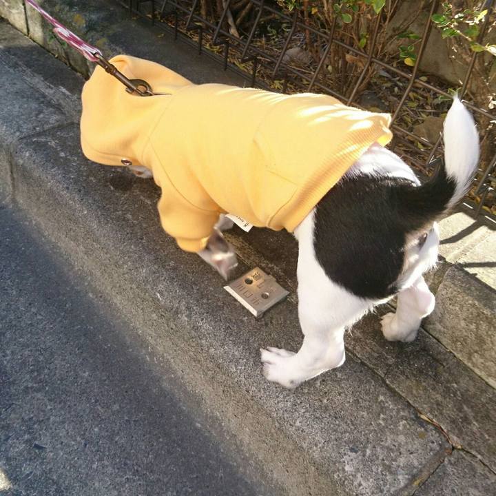 E28d6201 0d1d 4480 92e0 8e4de3a1717d 1512805774125