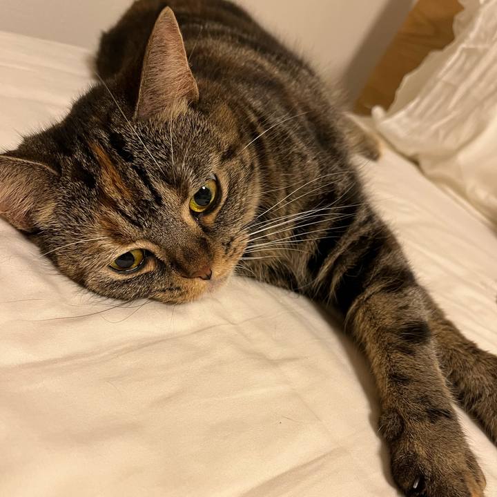 E28dcb71 1263 4bee 8e83 a2f0abe452d7 1665311008619