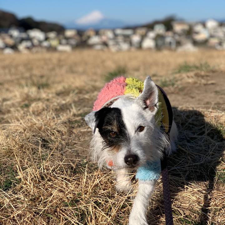 E28e1a6f 793e 42cd 9583 f264b0403341 1738886233473