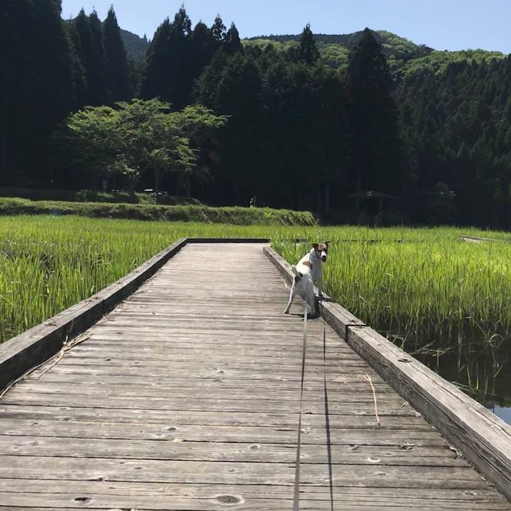 E28e2e0a 9ad4 4d43 9f91 b77754211c0e 1525514408753