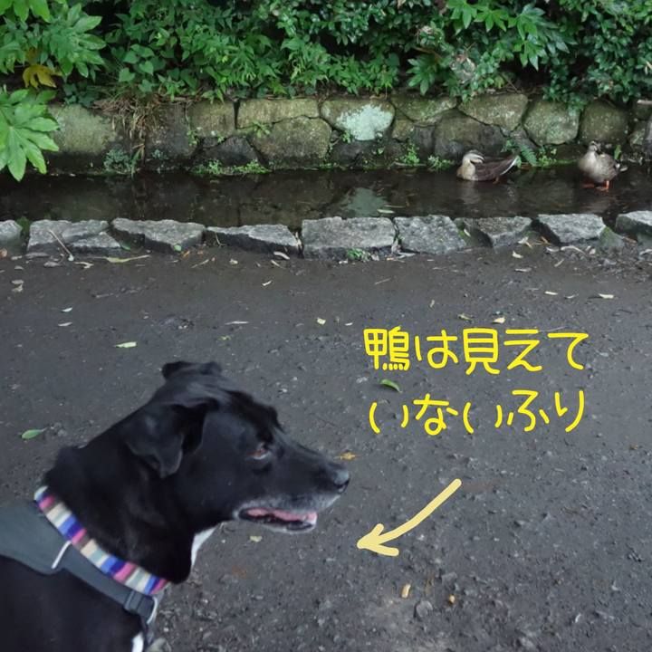 E28e32a9 25bf 41dc 8ae0 ec879df225b9 1656031592890