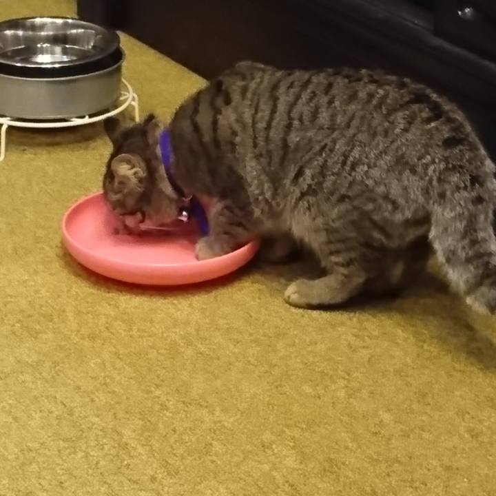 E28e3396 ce9f 40a5 96ed 1b627c18c679 1550525850437