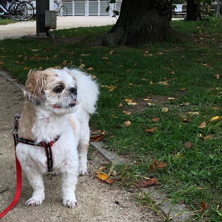 E28e6372 58be 4d32 9a32 09fd937cc955 1569879783877