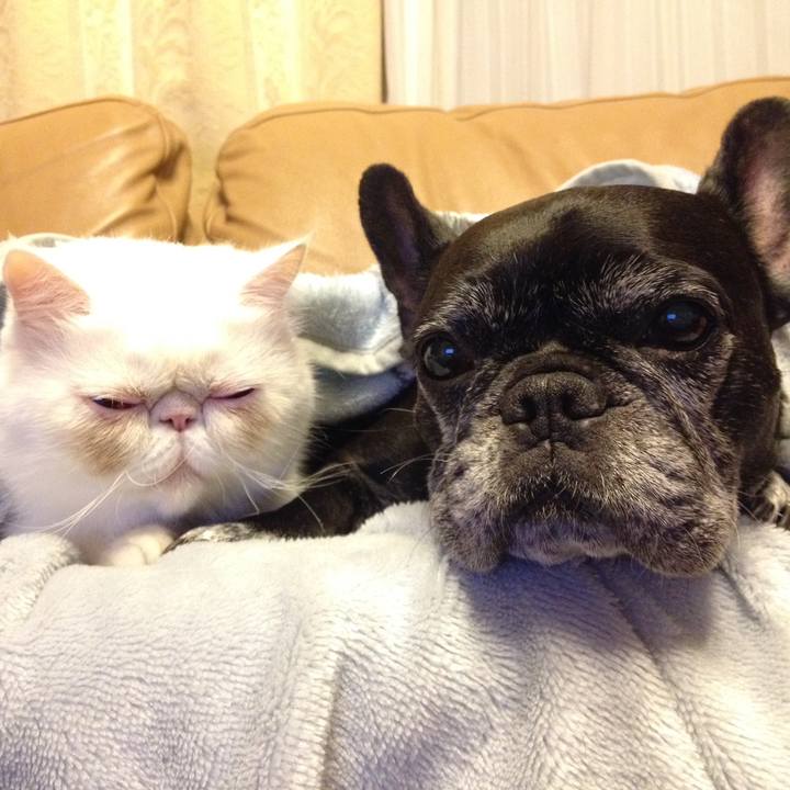 E28ea12d 1ff2 4a33 a1e1 9376c57756e1 1558439968248